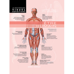 Dictionnaire Visuel Définitions - Être humain