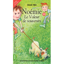 Noémie 25 - Le Voleur de souvenirs