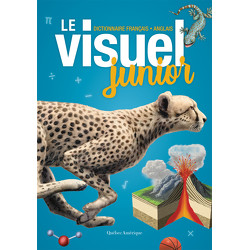 Le Visuel junior