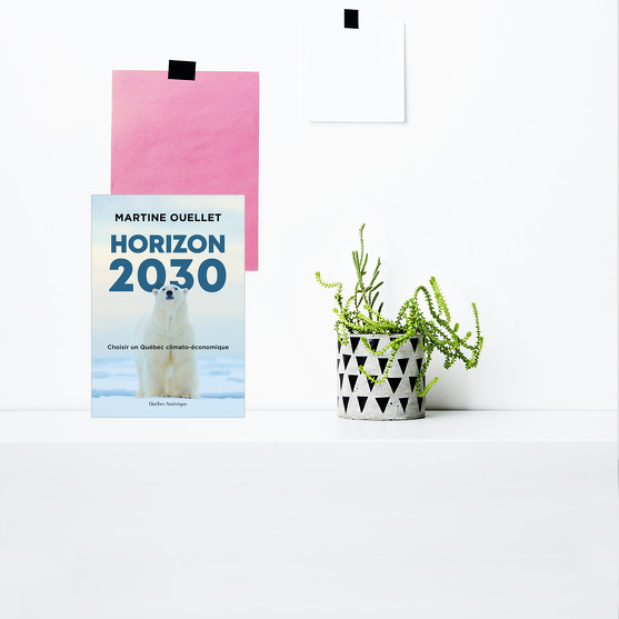 Horizon 2030