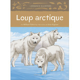 Loup articque