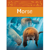 Morse