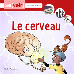 Le cerveau