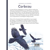 Corbeau