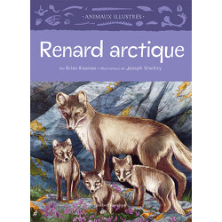 Renard arctique