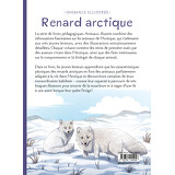 Renard arctique