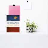 Dictionnaire du français acadien