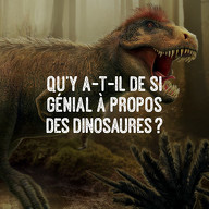 Dinosaures