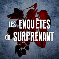 Enquêtes de Surprenant (Les)