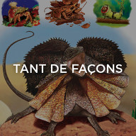 Tant de façons