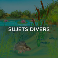 Sujets divers