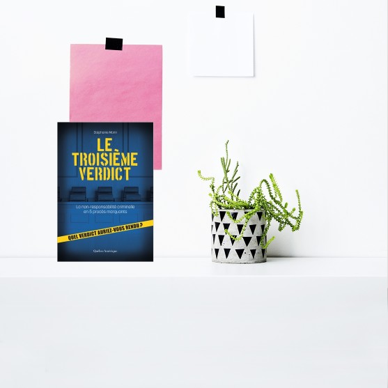 Le Troisième Verdict