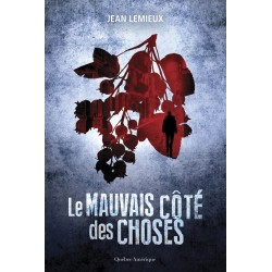 Une enquête du détective Surprenant T.4 : Le Mauvais Côté des choses