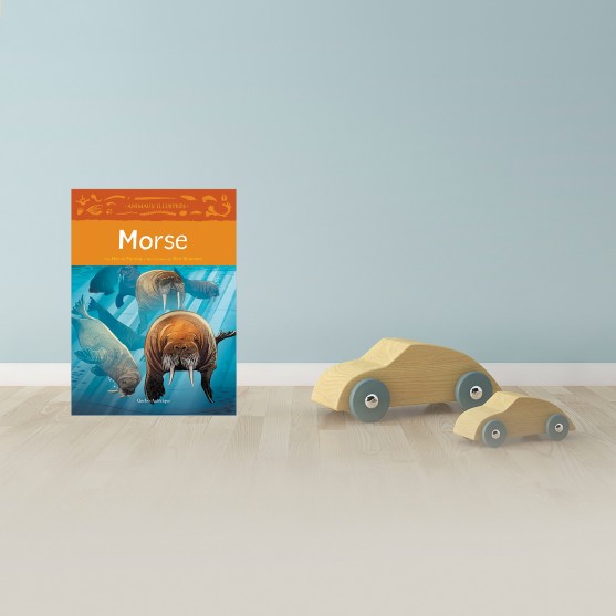Morse