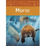 Morse
