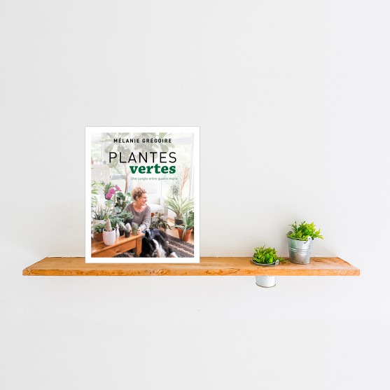 Plantes vertes - La jungle entre quatre murs