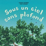 Sous un ciel sans plafond