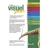 Le Visuel junior