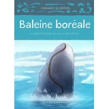Baleine boréale