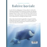 Baleine boréale