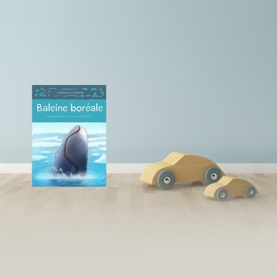 Baleine boréale