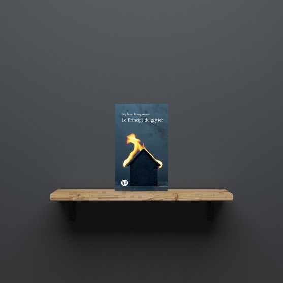 Le Principe du geyser