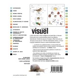 Le Mini Visuel français-italien