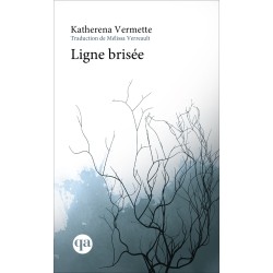 Ligne brisée