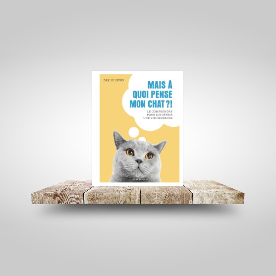 Mais à quoi pense mon chat?