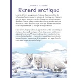 Renard arctique