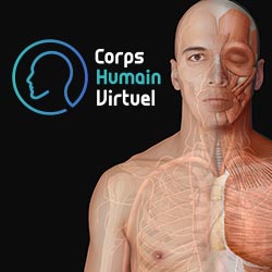 Corps Humain Virtuel